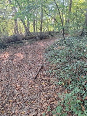 La boucle de Saint-Martin-d'Armagnac - FREDERIC - 3