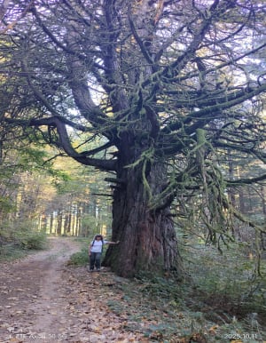Source de la Corrèze - Dominique - 7