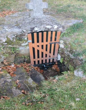 Source de la Corrèze - Dominique - 5