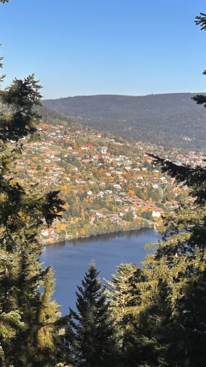 Echappée en forêt de Gérardmer et cascades mélodieuses - Oceane - 4