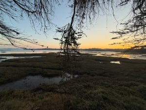 Rando sur les rives du golfe du Morbihan entre la Pointe de Bernon et de l'Ours - Marc - 7
