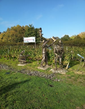 Prachtige ontdekking van Chaumont sur Loire vanuit Onzain - Loor - 5