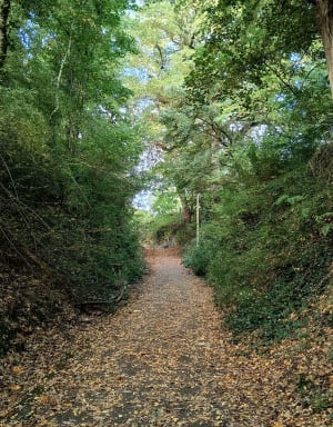 Prachtige ontdekking van Chaumont sur Loire vanuit Onzain - Loor - 9