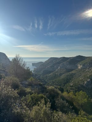 De Luminy-kammen en wandelen in de calanques - Pauline - 5