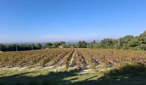 Autour des Piecaous - Jacques - 12