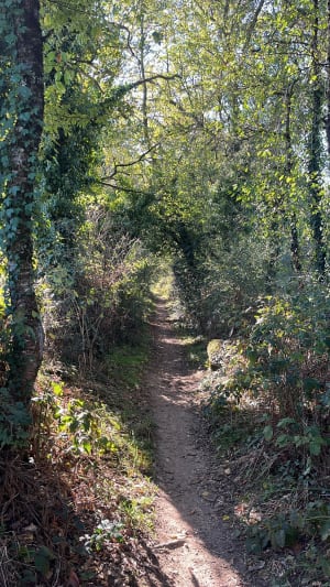 Boucle de La Borie - Lison - 5