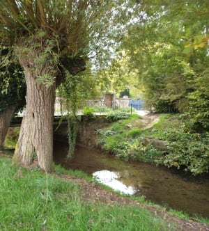 Promenade autour de Le Quesnoy par Villereau - Valerie - 7
