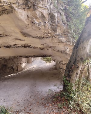 Troglodietengrotten in Orival - Élodie  - 6