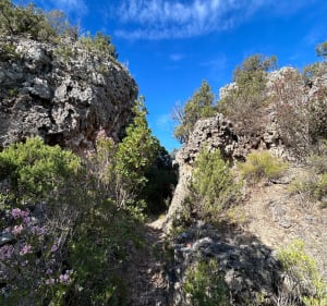 Balade à Carlencas - Carlencas-et-Levas - 2