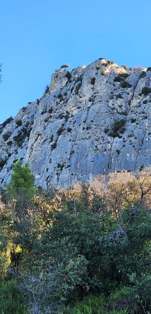 Vallon des Glauges et Villa Gallo-romaine de St-Pierre de Vence - Franck - 3