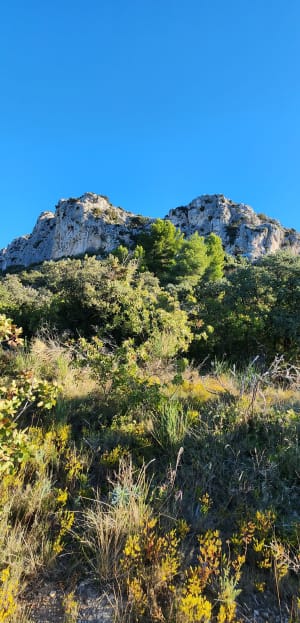 Vallon des Glauges et Villa Gallo-romaine de St-Pierre de Vence - Franck - 4