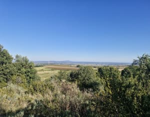 Garrigue et gorges du Gardon par les GR® 6 et 63 - Sandrine - 4