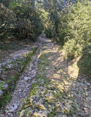 Garrigue et gorges du Gardon par les GR® 6 et 63 - Sandrine - 3