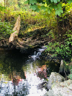 Rentilly, Belle balade dans la vallée de la Brosse - Estelle - 6