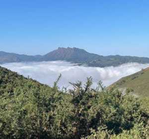 Balade au col d’Ibardin - Christian - 5