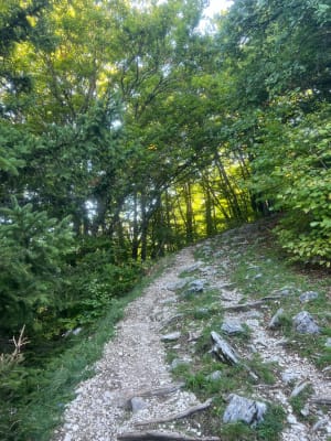 Combe Chaulange, Sentier Gobert et balcon sur le Vercors - Marion - 3