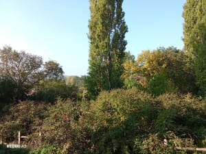 De Breuilpont par forêt d'Hécourt - FABRICE - 6