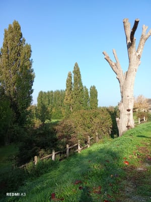 De Breuilpont par forêt d'Hécourt - FABRICE - 10