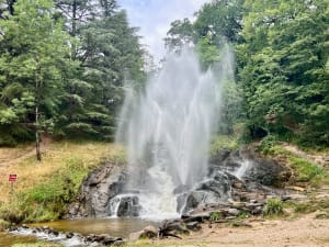 Lac de Saint-Ferréol - Francis - 12