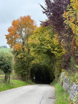 Charme savoyard autour de Saint-Ours - frederique - 4