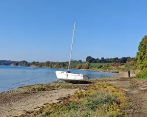 Entre terre et Rance à Saint-Jouan-des-Guérets - Lucie - 4