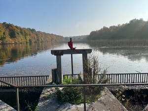 En passant par le château de la Reine Blanche - Dominique - 8