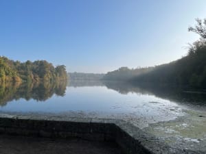 En passant par le château de la Reine Blanche - Dominique - 9