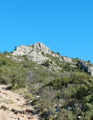 Sur les traces de Pagnol par le Pic du Taoumé - Alexandra  - 6