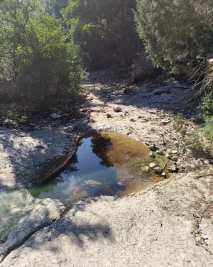 Au départ de Saint Marcel d'Ardèche - Michael - 10