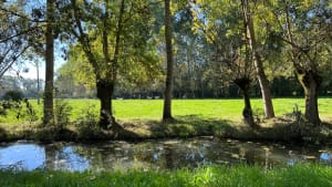 Balade du marécage au marais à Saint-Hilaire-le-Palud - Eloïse - 6