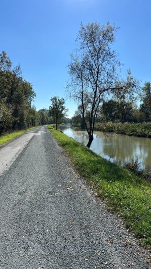 Balade du marécage au marais à Saint-Hilaire-le-Palud - Eloïse - 7