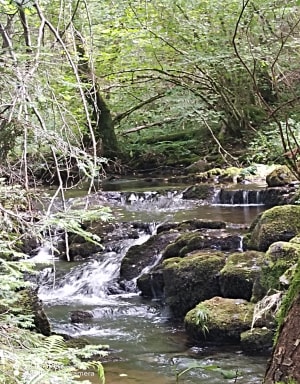 Bois et vallée du Marilhou et vestiges archéologiques - Sandrine - 4