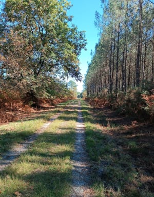 Boucle en foret sur Issac - Aurélie - 2