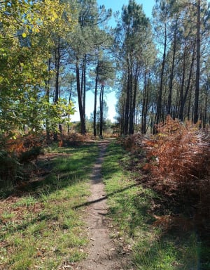Boucle en foret sur Issac - Aurélie - 3