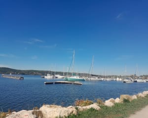 Petite Camargue et Saint Chamas - jean marc - 6