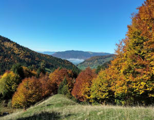 Randonnée Golet de Doucy et le Col de la Bornette - Agnès - 6