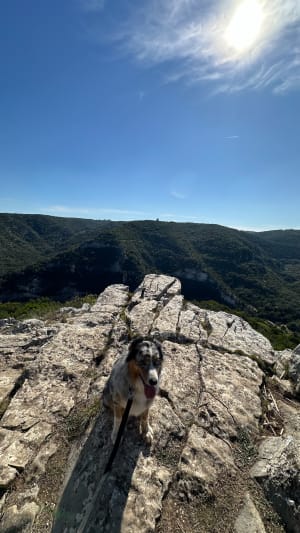 De Sanilhac à la Baume puis Collias puis retour - Laury - 8