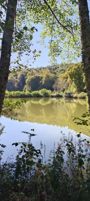 Bégole, lac et chemin forestier - Florian - 5
