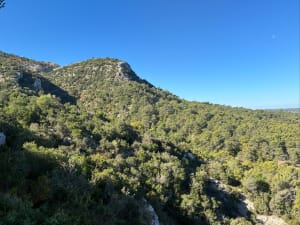 Pic des Mouches depuis le Col des Portes - HERVE - 3
