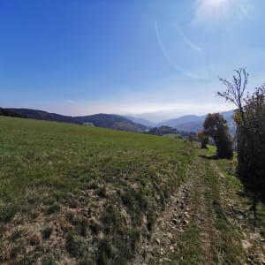 Graix, sa forêt, ses champs et sa belle vue panoramique - Antje - 4