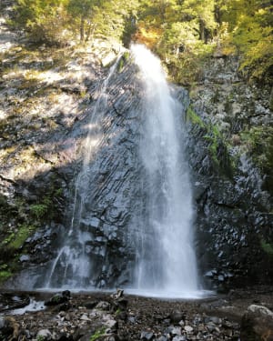 Randonnée aux cascades du Queureuilh, du Rossignolet et du Saut du Loup - Herve - 5