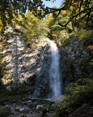 Randonnée aux cascades du Queureuilh, du Rossignolet et du Saut du Loup - Herve - 6