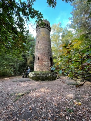 Le château de Wasenbourg depuis Niederbronn - christophe - 6