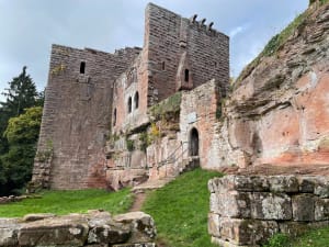 Le château de Wasenbourg depuis Niederbronn - christophe - 8