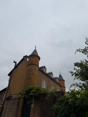 Petite balade dans les vignes de Chessy - Karine - 2