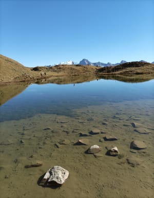 Lac de Peyre depuis le col de Colombière - Ludivine - 4