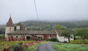 Circuit des 3 châteaux, départ de Quincié - Carlota - 9
