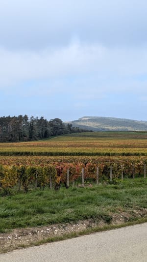 Autour du Mont Morin et vignobles - agnès - 4