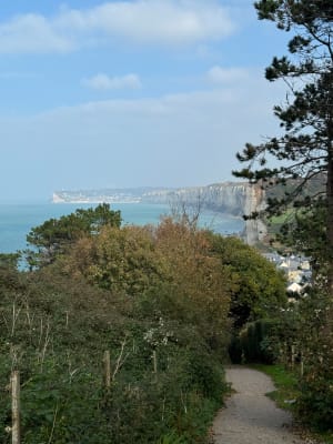 Le domaine des Hogues - Ann - 6