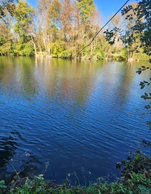 Cré-sur-Loir et balade apaisante dans un cadre bucolique - Charlotte - 2
